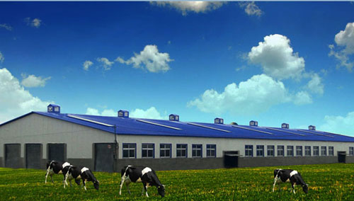 万利·(中国区)有限公司官网