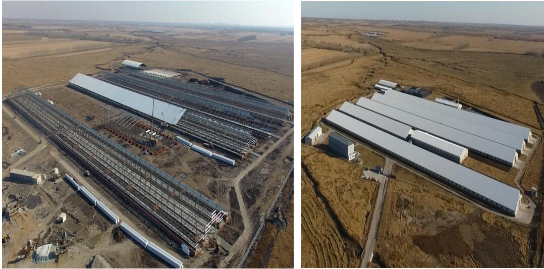 万利·(中国区)有限公司官网