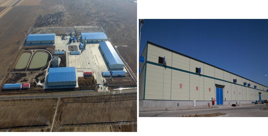 万利·(中国区)有限公司官网